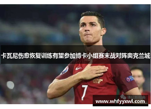 卡瓦尼伤愈恢复训练有望参加博卡小组赛末战对阵奥克兰城