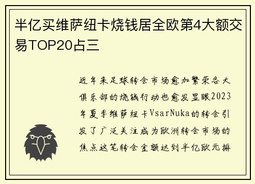 半亿买维萨纽卡烧钱居全欧第4大额交易TOP20占三